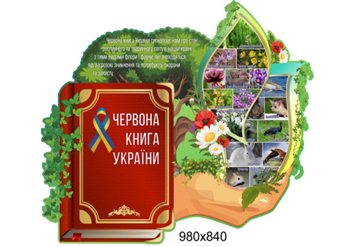0300f70w-d648-509x354.png