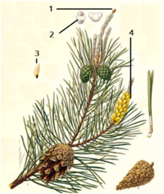 0300f727-bc51-322x380.png