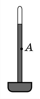 0300f7a2-cb26-141x346.jpg