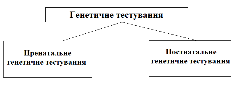 0300fa3z-9d93-790x322.png
