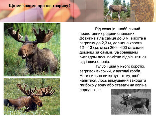 0300ffxt-e640-623x467.jpg