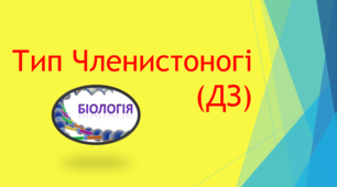 Тип Членистоногі (ДЗ)