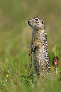 0300fwfg-0276-200x300.jpg