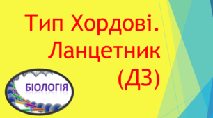 Тип Хордові. Ланцетник (ДЗ)