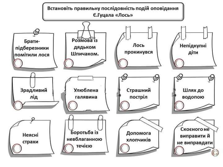 0300g0y8-809e-720x540.jpg