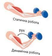 0300g1rn-2a8a-568x607.jpg