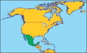 0300g22n-95bc-300x182.png