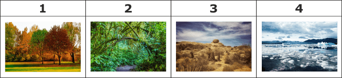 0300g22t-157b-682x156.png