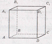 0300g29b-99f1-175x150.png