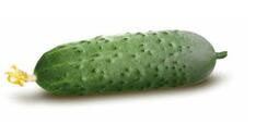 0300g2fu-23c1-245x115.jpg