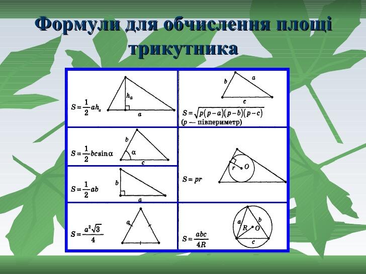 0300g2x0-2b65-728x546.jpg