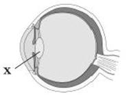 0300g2zu-8666-185x149.png