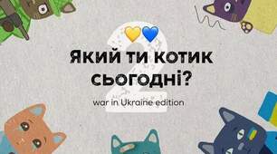 Який ти "котик" сьогодні? Переглянь картинки всередині та дай відповідь