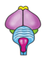 0300gdxm-51ab-103x121.png