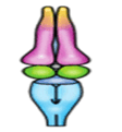 0300gdxs-273b-112x121.png