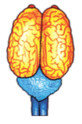 0300gdyg-59fc-82x124.png