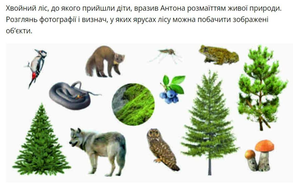 0300gf4j-7284-940x598.jpg