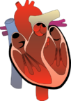 0300ggkd-304f-399x565.png