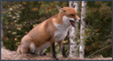 0300gh3w-ab5f-127x69.png