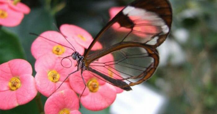 ТДР:читання мовчки "Краса душі" | Урок на 2 завдання. Літературне читання