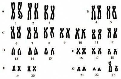 0300gmt5-4010-400x261.jpg