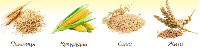0300gn7b-120f-669x169.png