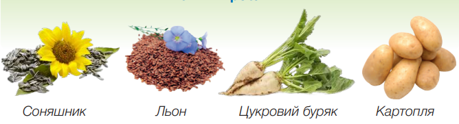 0300gn7g-d45c-668x181.png