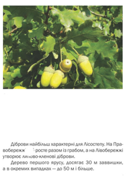 0300grgi-86b6-404x583.png