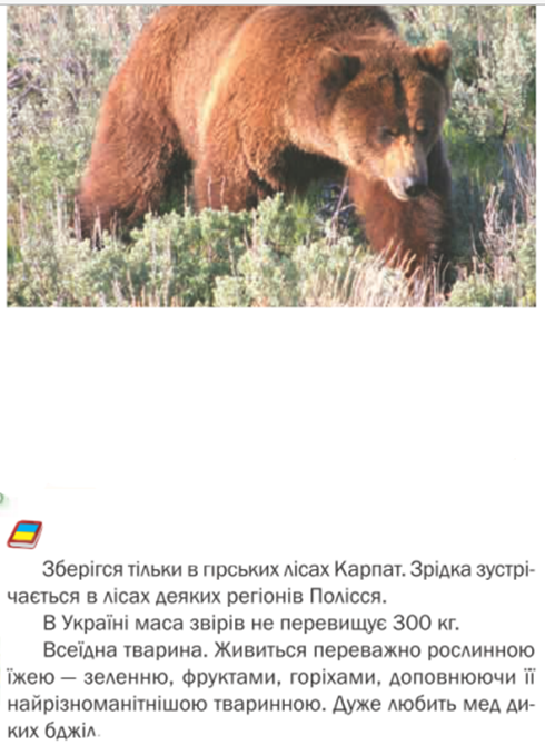 0300grlu-97ff-490x669.png