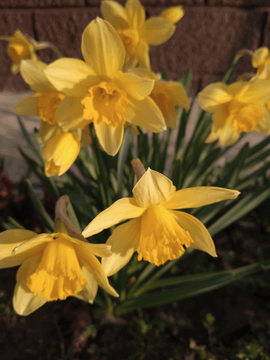 0300gtl7-d969-940x1253.png