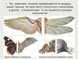 0300gu7n-2d85-259x194.jpg