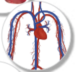 0300gucd-5714-157x145.png