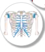 0300guci-0381-157x180.png