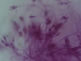 https://naurok-test.nyc3.cdn.digitaloceanspaces.com/uploads/test/98944/241644/869497_1586964499.jpg