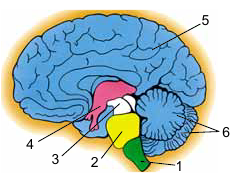 0300h0az-b9ef-234x183.png