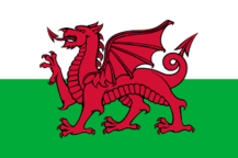 0300h0nh-a407-217x144.png