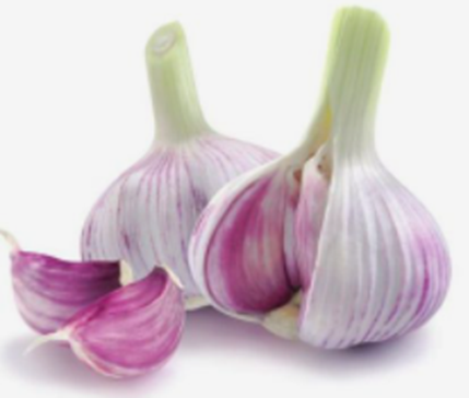 0300h111-7808-429x364.png