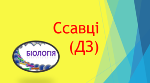 Ссавці (ДЗ)