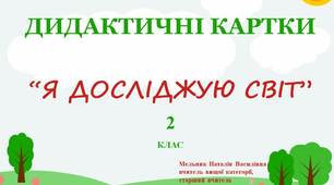 ЯДС  2 клас, дидактичні картки "Рослини влітку"