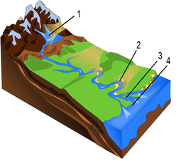 0300h2rc-27bb-248x226.png