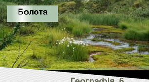 Болота, особливості їх утворення