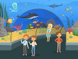 741 Oceanarium Illustrations & Clip Art - iStock