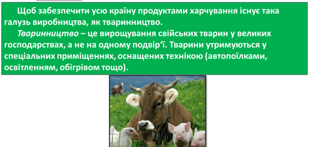 0300hf2q-7649-615x291.png