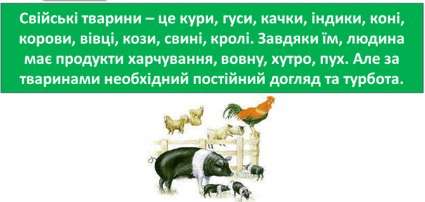 0300hf91-9f1a-605x288.png