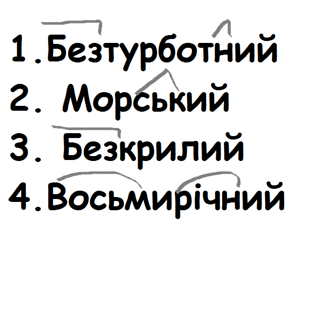 0300hfsl-8637-667x654.png