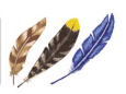 0300hho6-cd04-115x86.png