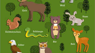 Die Tiere