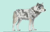 0300hjrj-e427-163x104.png