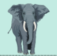 0300hjrm-9f4f-116x114.png