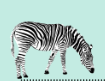0300hjrr-9b9c-119x92.png